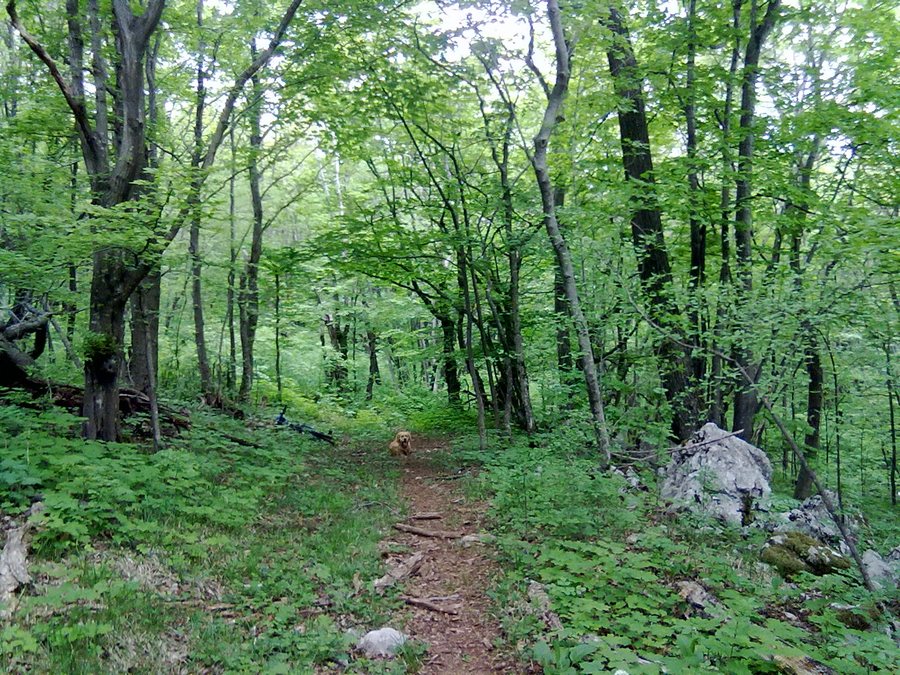 File:Gerovo, Croatia - panoramio.jpg