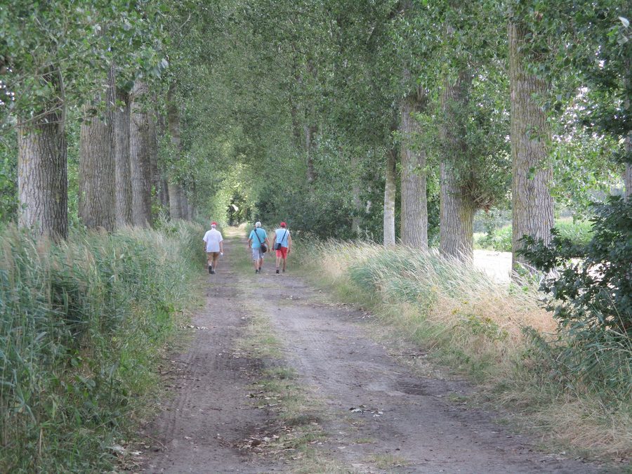 Дриев в Het Leen у Эйкло