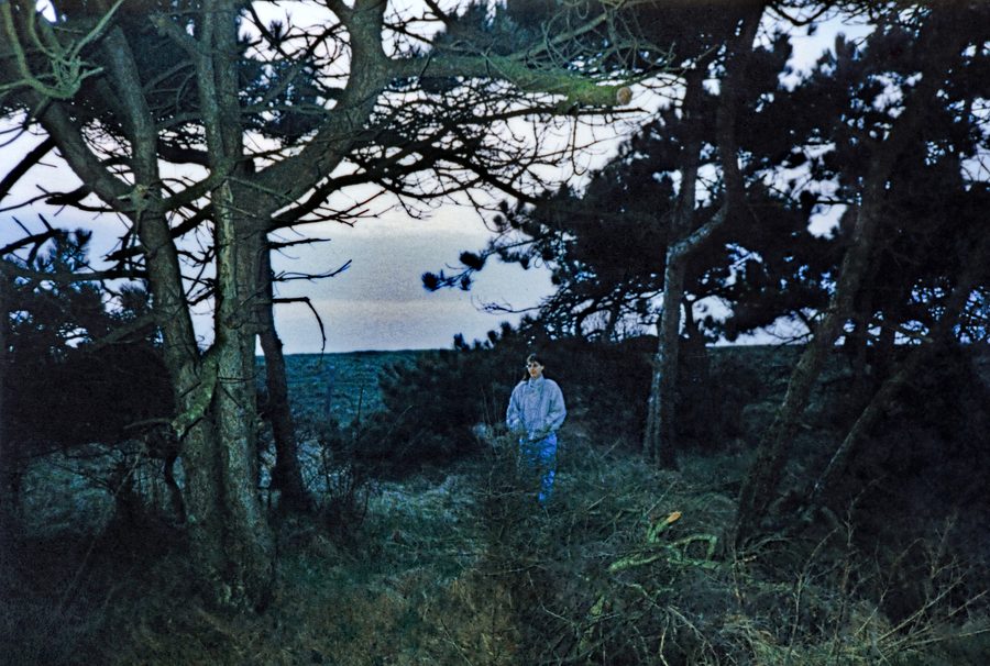 Ufer des Selenter Sees in Schleswig-Holstein in den 1990er-Jahren