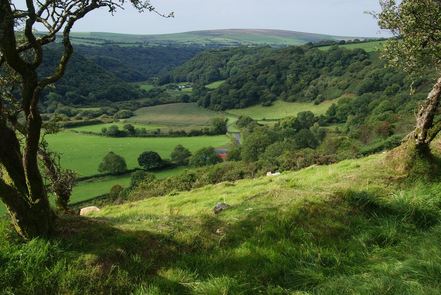 Hügel mit Blick über das bewaldete Gwaun-Tal in Pembrokeshire