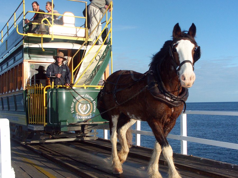 Конная уличная трамвайная линия на дамбе у Victor Harbor
