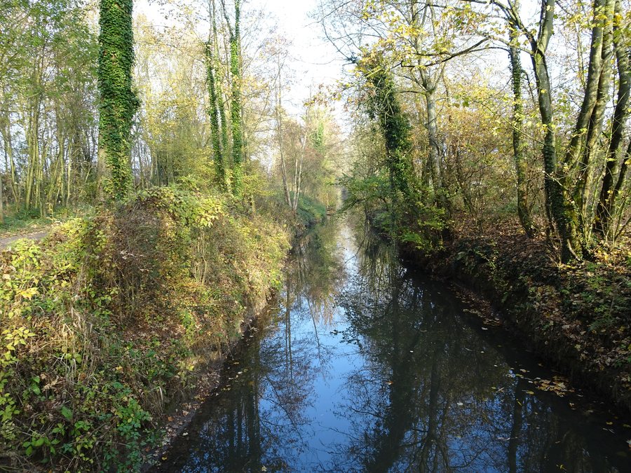 File:Anstaing la Marque (2).jpg