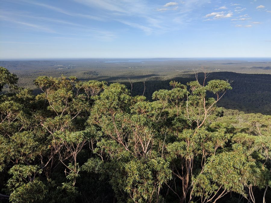 Blick auf Sussex Inlet vom Jerrawangala Lookout im Jerrawangala-Nationalpark