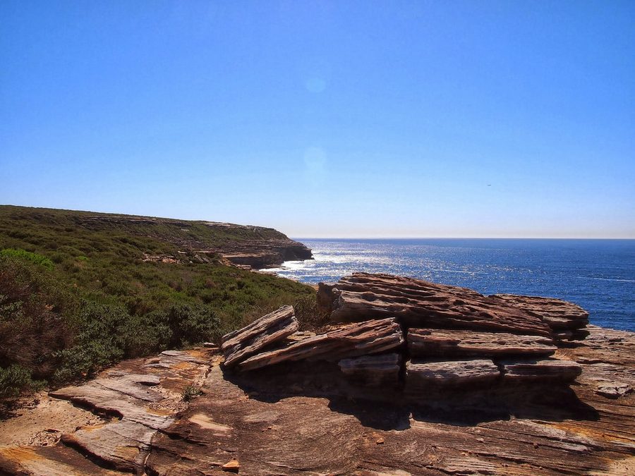 Прибрежный участок Coast Track в Royal National Park.