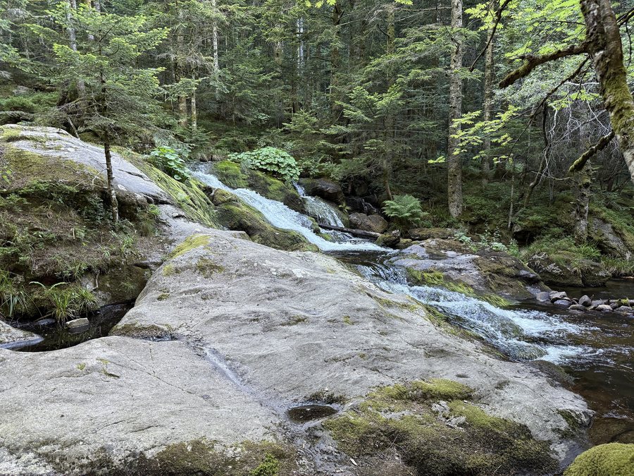 File:Cascade Pierre Haute - Saint-Bonnet-le-Courreau (FR42) - 2025-06-28 - 5.jpg