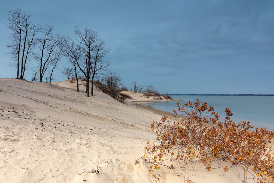 Вид на Sandbanks осенью, с дюнами и листвой перед снегопадом.