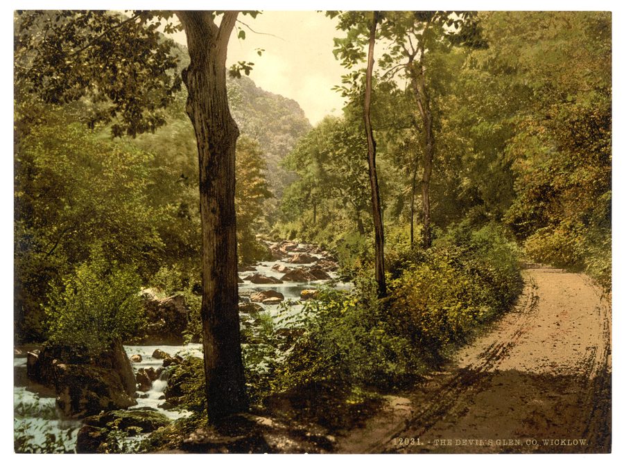 The Devil's Glen в графстве Уиклоу, Ирландия
