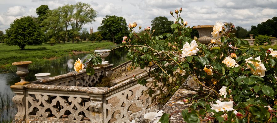 File:Charlecote Park West terrace roses Warwickshire England 02.jpg