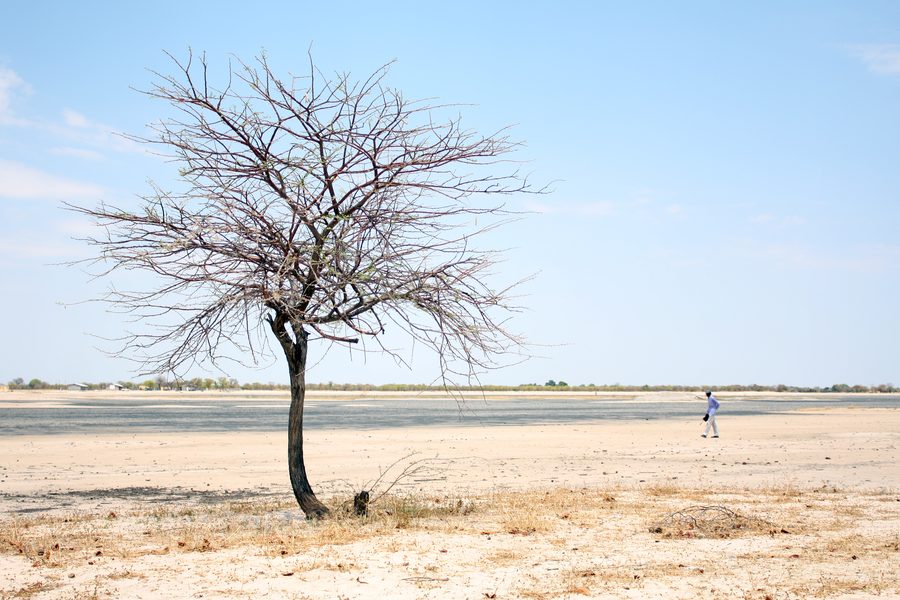 Offene Oshana-Senke in der Landschaft der Region Oshana im Norden Namibias