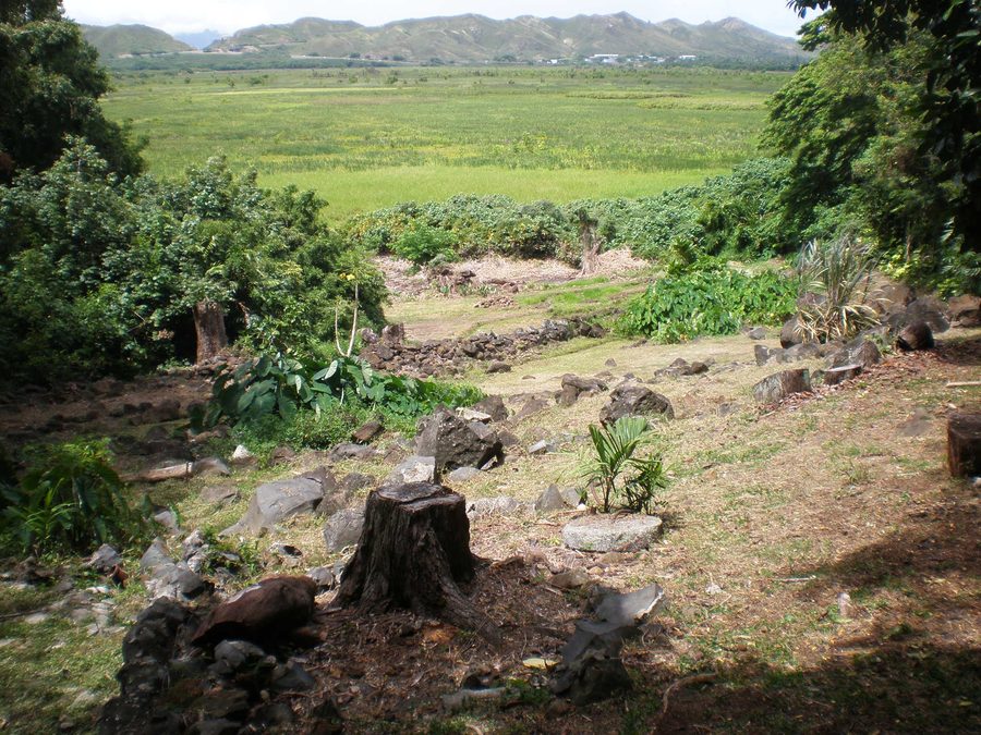 Вид через Kawai Nui Marsh в сторону Ulupō Heiau в Кайлуа, Гавайи