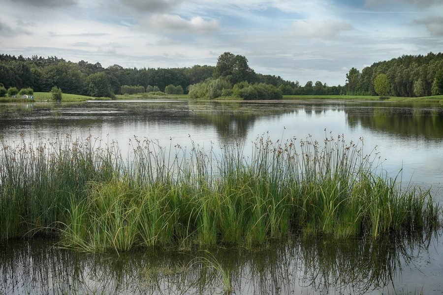 Озеро Kleihügelsee в старой общине Эспелькамп