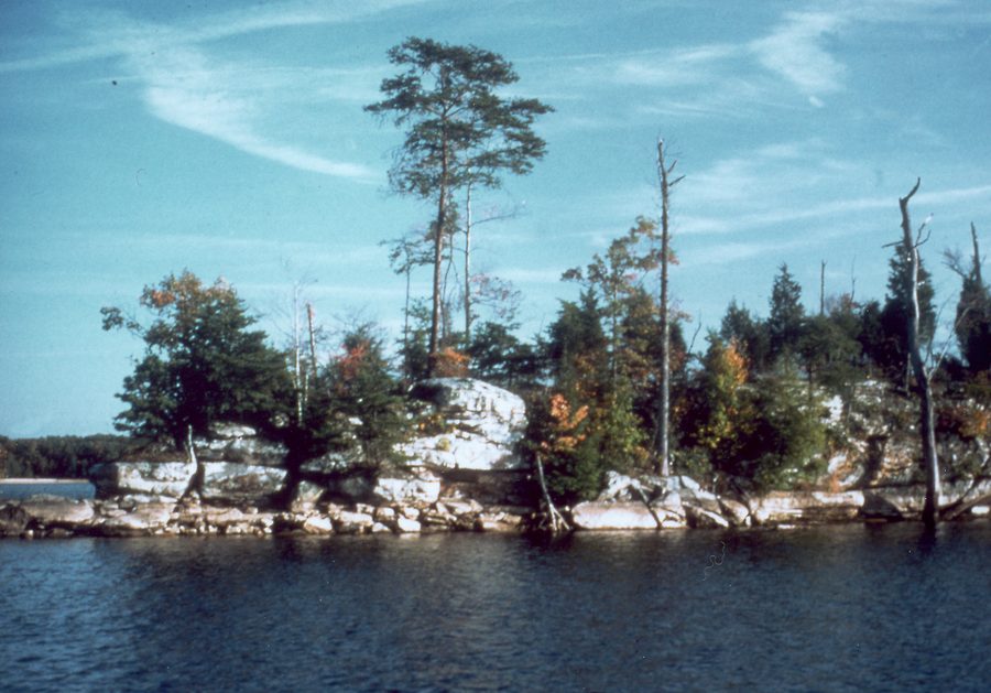 Laurel River Lake в Кентукки с лесистым береговым ландшафтом