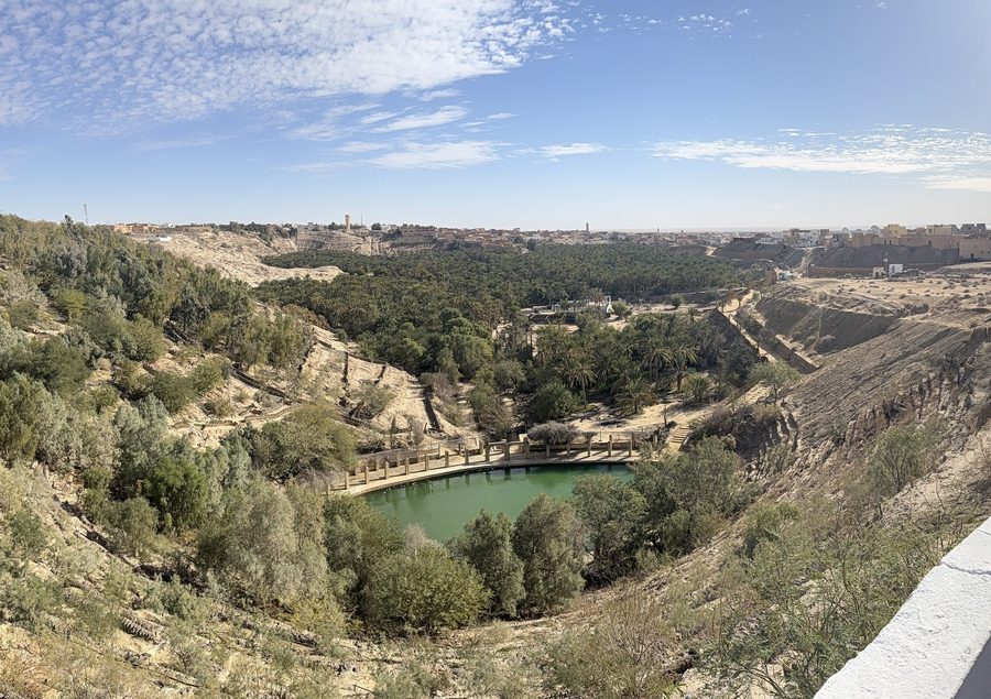 Oasis palms and a basket-shaped geological depression in the Tozeur area.