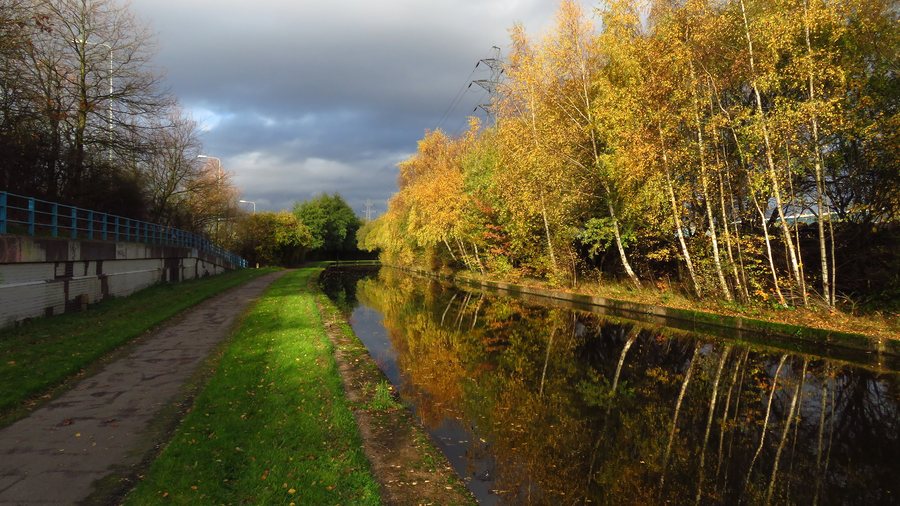 File:Autumn colours on Trent ^ Mersey Canal, NE of A50 ^ A500 junction, Stoke-on-Trent - geograph.org.uk - 7382580.jpg