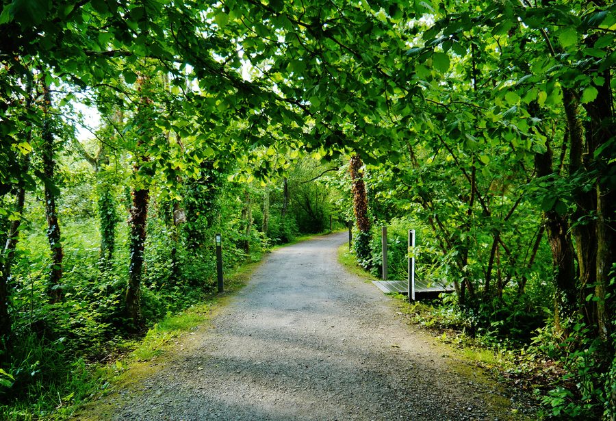 Воссозданный исторический комплекс в Irish National Heritage Park у Феррикаррига