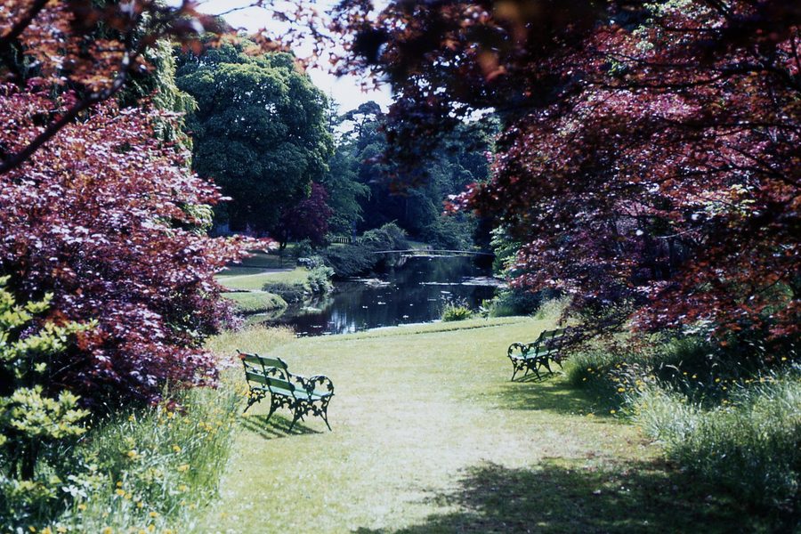 Пейзаж сада в Mount Usher Gardens в графстве Уиклоу