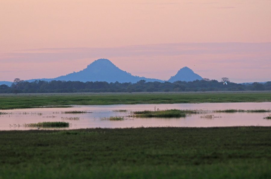 Blick auf den bewaldeten Mount Gorongosa im Gorongosa-Nationalpark in Mosambik.