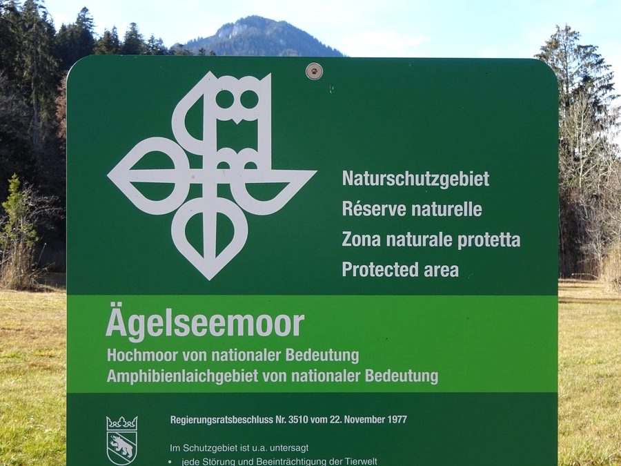 Болото Ägelseemoor в Диемтигене в кантоне Берн