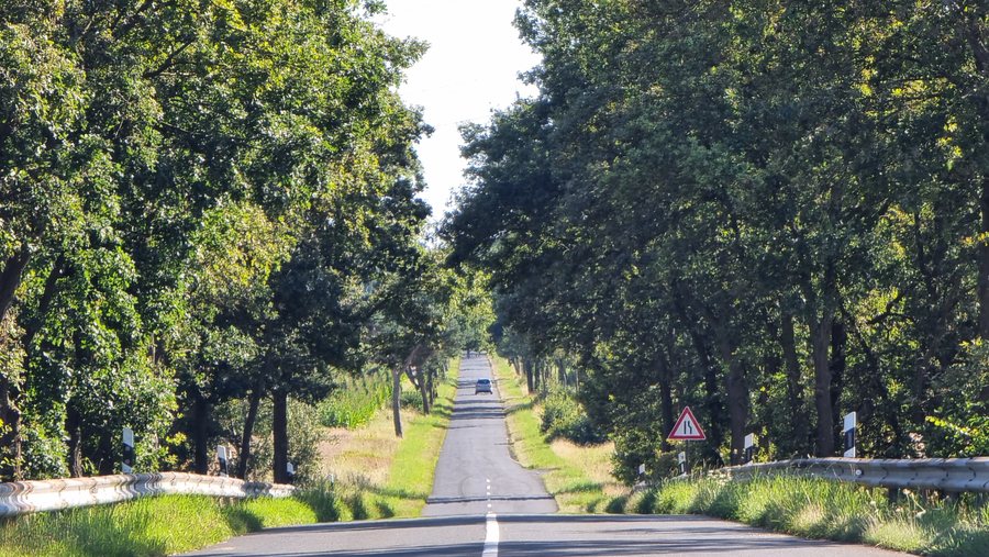 File:Fahrradtour zwischen Elze in der Wedemark und Meitze, Region Hannover 10.jpg