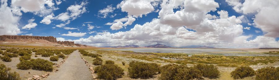 Wide view of the Salar de Tara salt flat and volcanic landscape in the Atacama Desert.