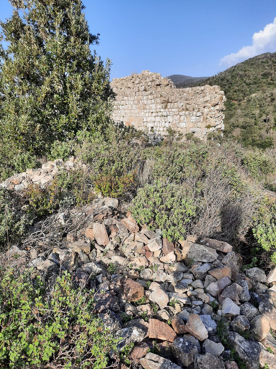 Руины Castello di Dolia, также называемого Castellaccio, в Терриччо