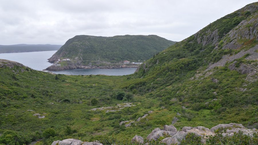 Вид на Сент-Джонс с Signal Hill