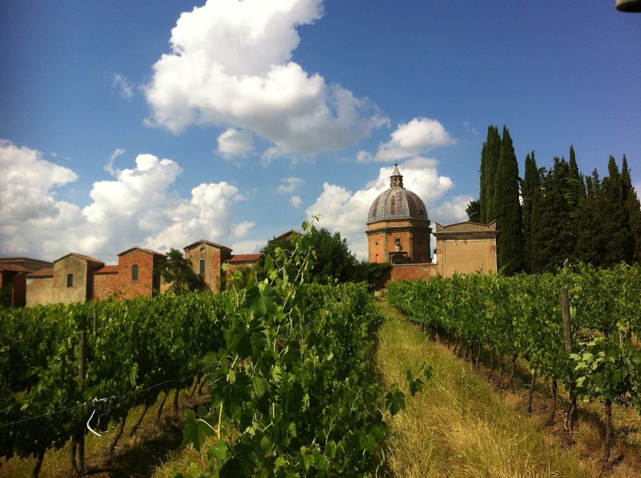 Храм Santo Stefano della Vittoria в Pozzo della Chiana на фоне виноградников