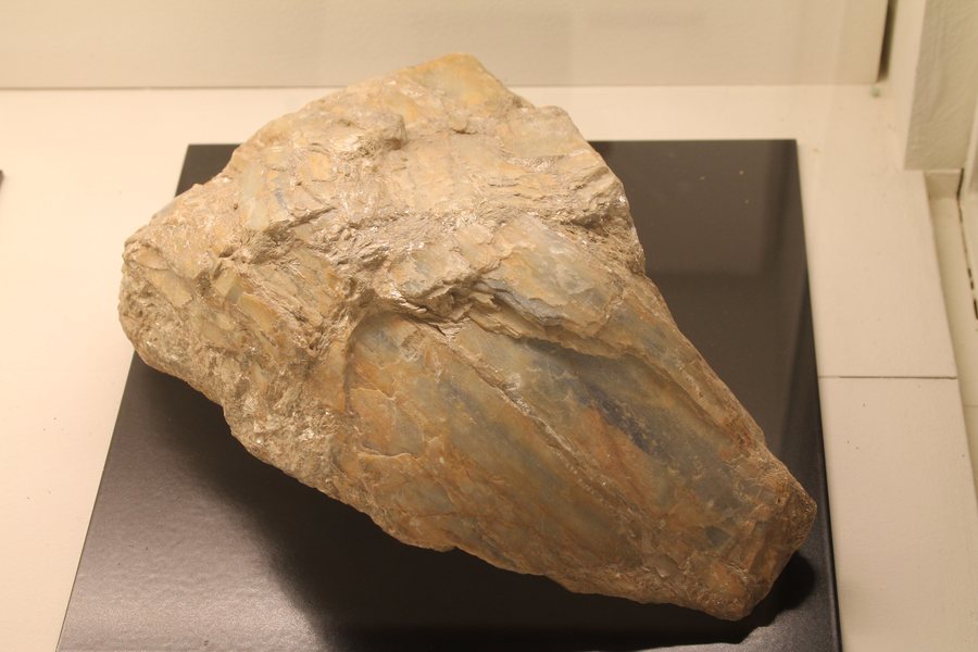 File:Muséum de Nantes - 428 - Disthène (Bouvron, France).jpg