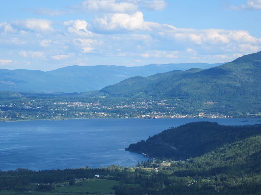 Вид с Tappen Bluffs на Salmon Arm и озеро Shuswap в Британской Колумбии