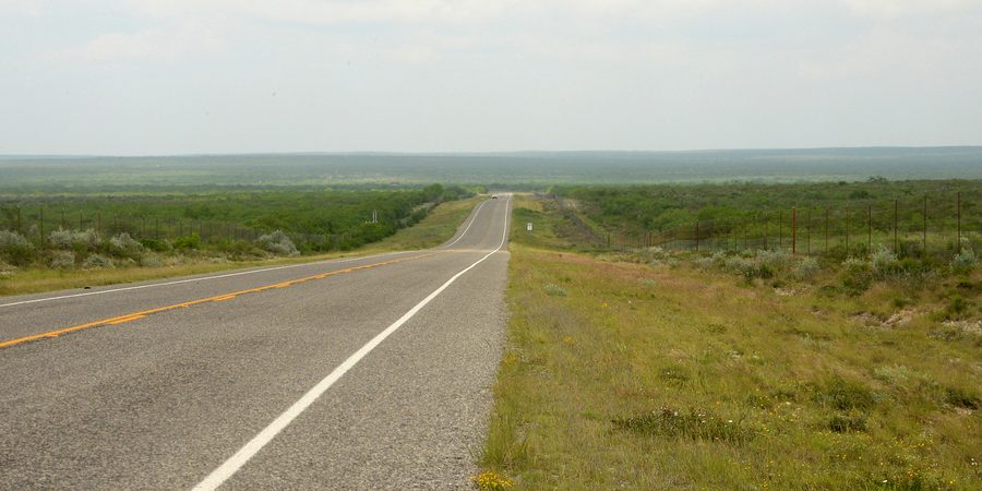 Колючий кустарник Южного Техаса рядом со State Highway 16 в округе Дюваль, Техас