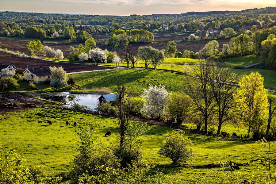 File:Utsikt vid Naturreservat Lycke-Lilla Höjen i Skövde kommun.jpg