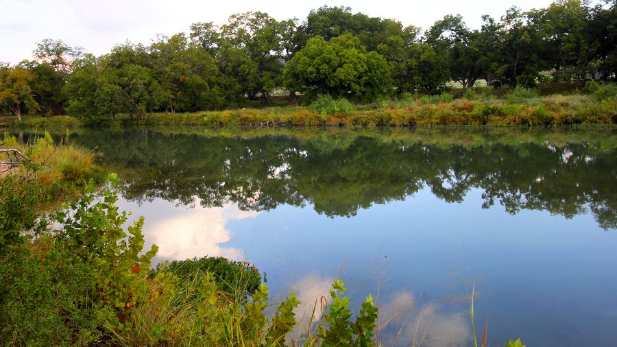 Река South Llano River, вид со стороны South Llano River State Park near Junction, Texas