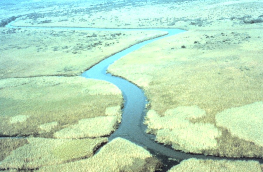 Вид с воздуха на заповедник Apalachicola National Estuarine Research Reserve во Флориде