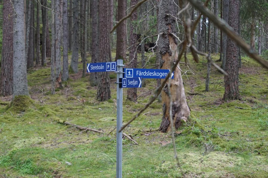 Природный заповедник Slereboåns dalgång в Risveden, коммуна Ale
