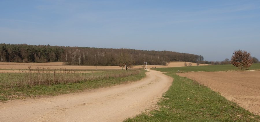File:Tussen Zeddam en Beek, zicht op de heuvels van het Montferland IMG 3694 2020-03-24 14.50.jpg