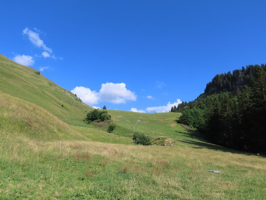 File:Col de Châtillon @ Languières.jpg