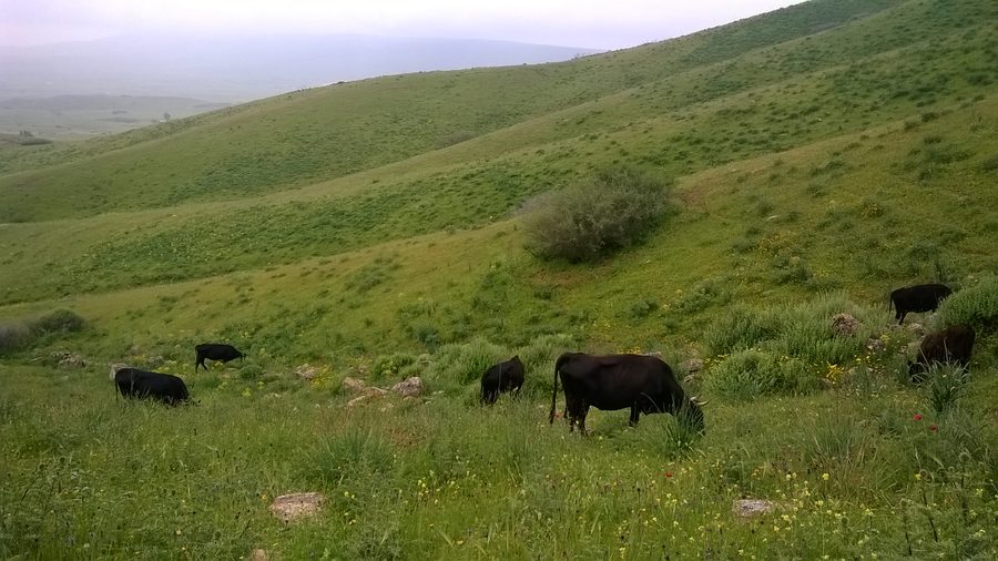 Ansicht von Ait Ammar bei Khouribga in Marokko