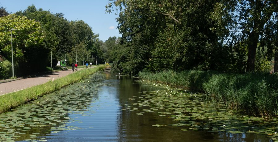 File:Maassluis, Kortebuurt IMG 4053 2024-07-22 13.27.jpg