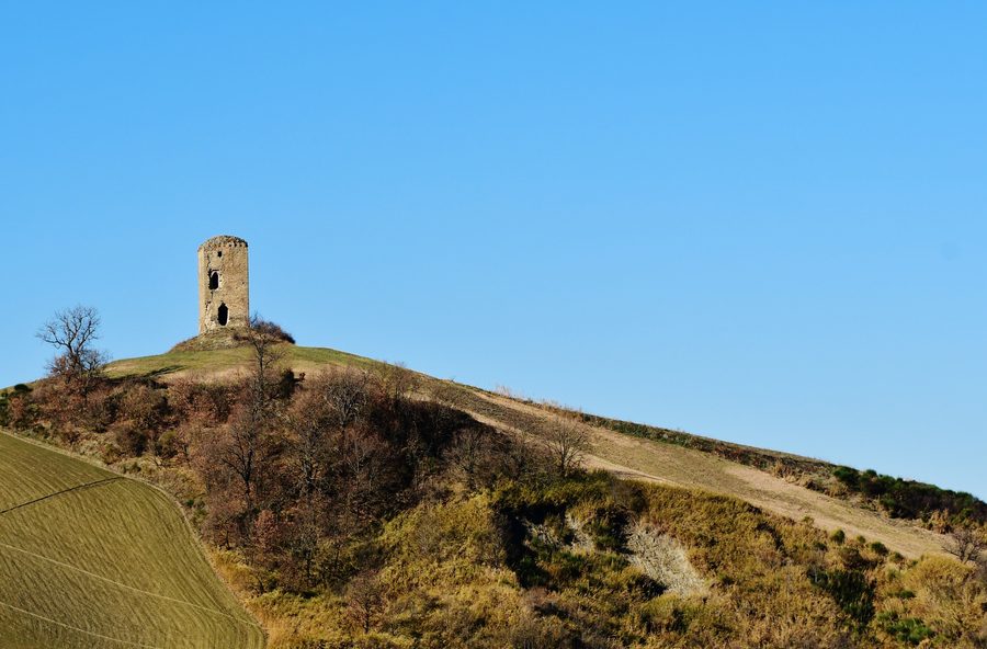 Torre Cotogna in Montecalvo in Foglia
