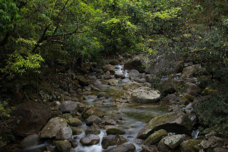 Mossman Gorge в тропическом лесу Far North Queensland