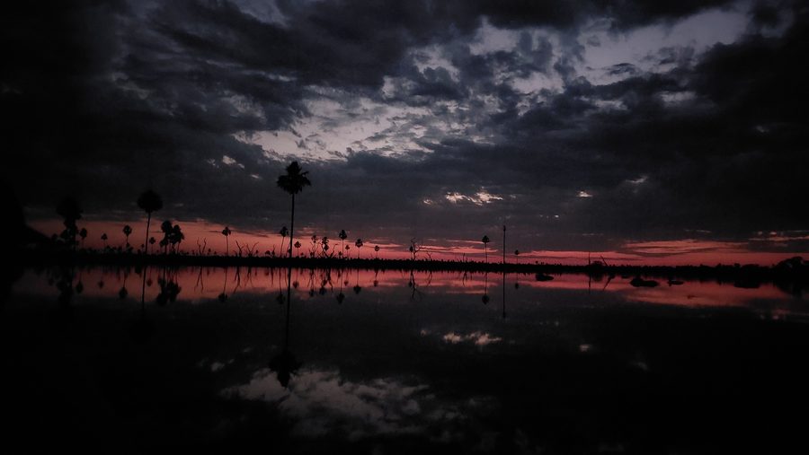 Wetland landscape at Bañado La Estrella in Formosa, Argentina.