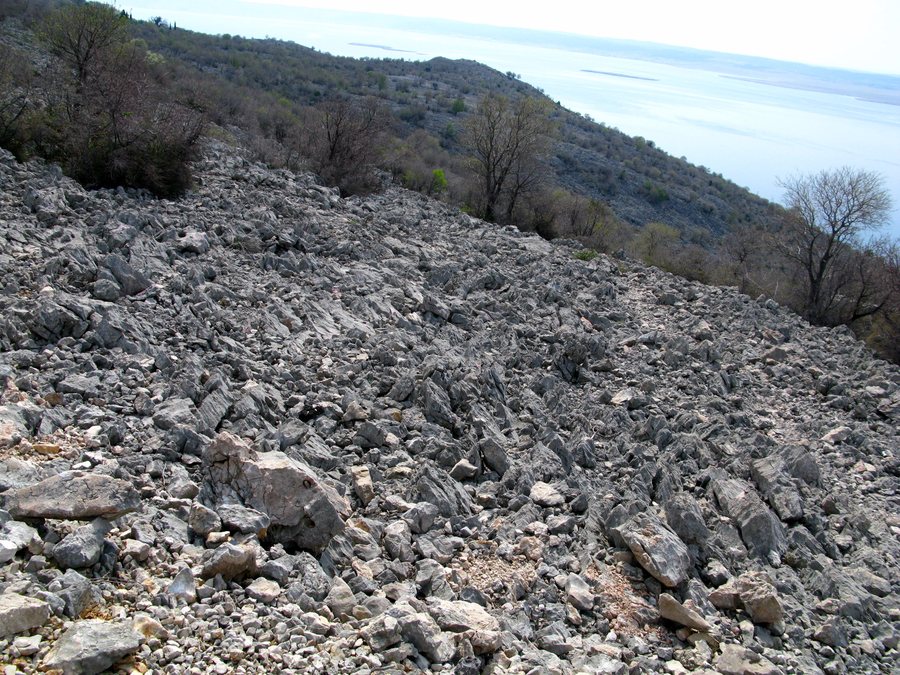 File:Tribanj Kruščica 01.jpg