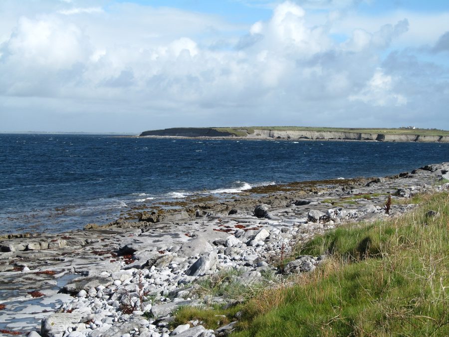 Каменистое побережье вдоль Flaggy Shore