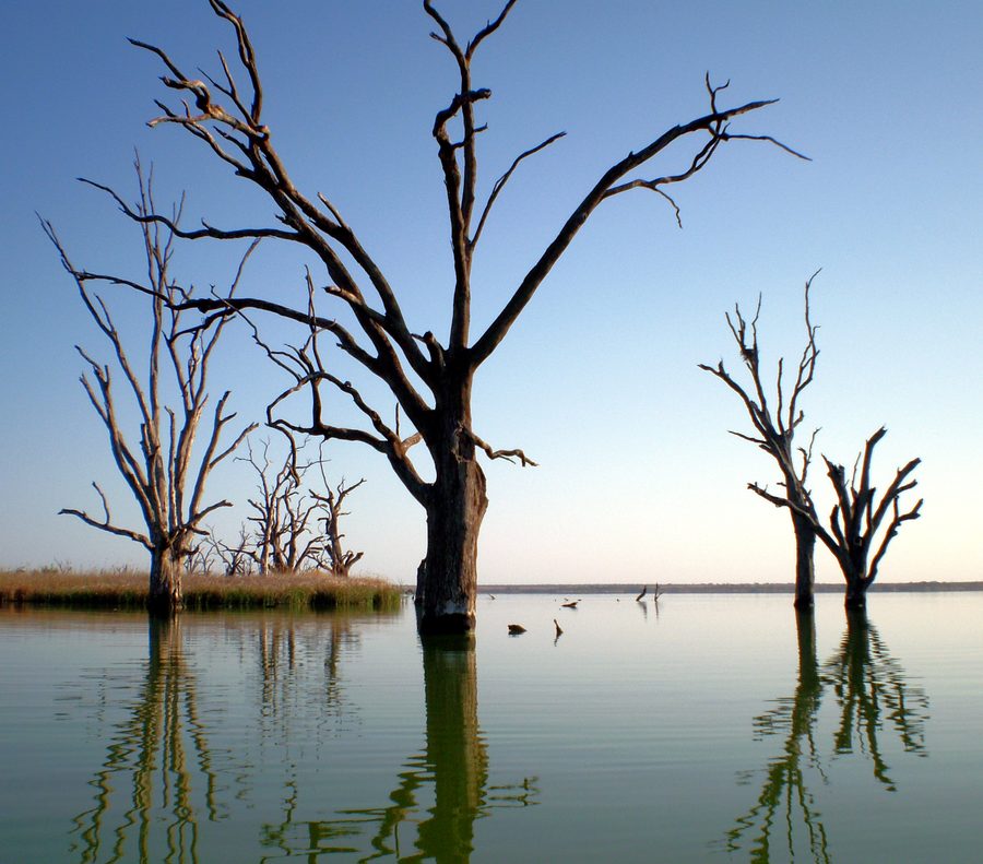 Lake Bonney bei Barmera in South Australia