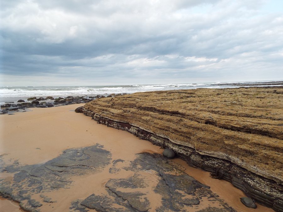 File:Sedimentary Rock Layers at Embleton in Northumberland in England - geograph-5008139.jpg