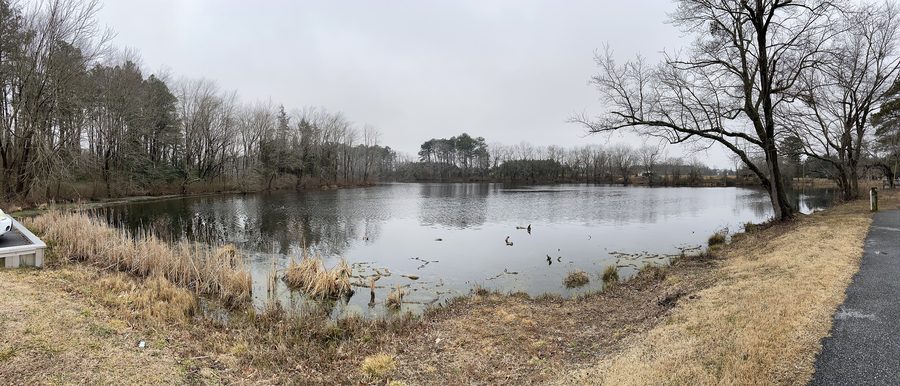 Pond at Abbott’s Mill Nature Center near Milford, Delaware