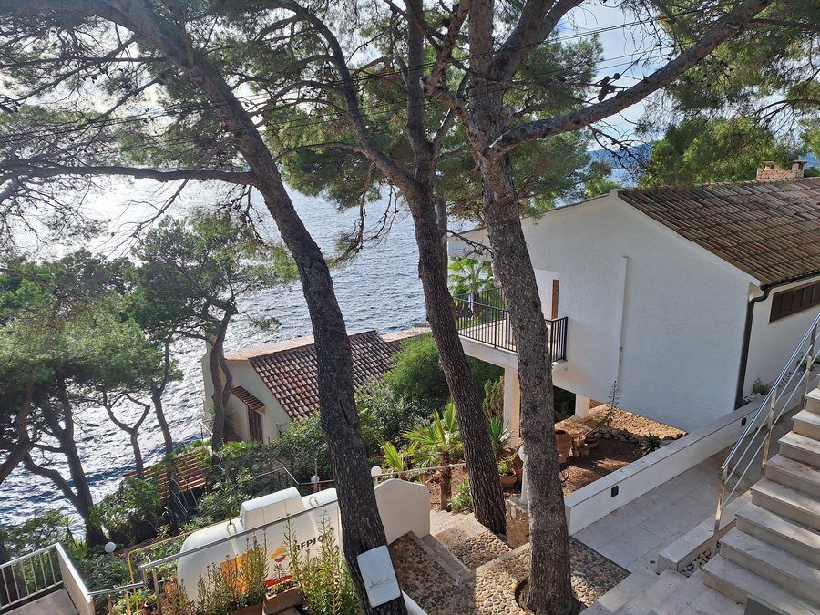 File:Pine trees and coastal residences Costa dels Pins Mallorca.jpg