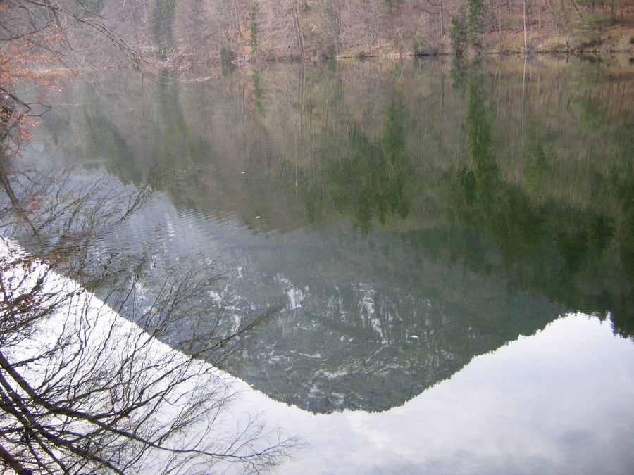 Uferbereich des Stimmersees in Langkampfen, Tirol
