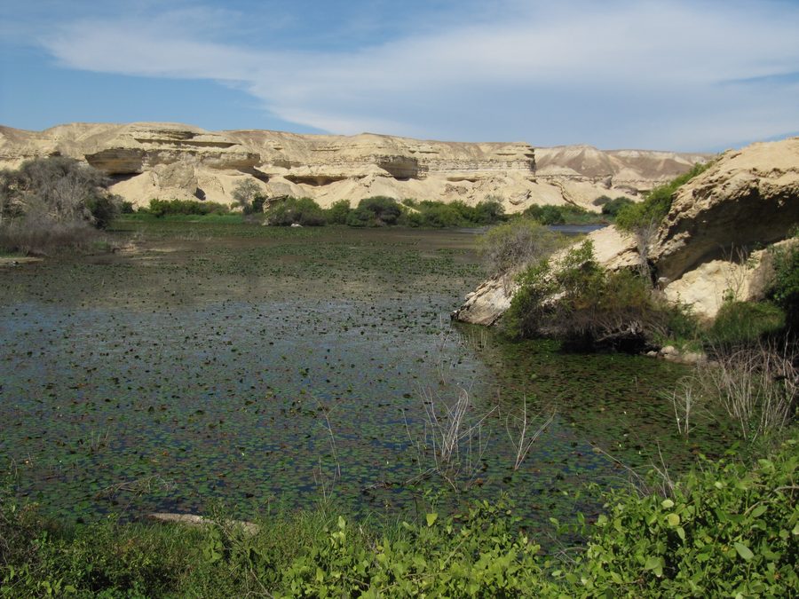 Kleine Oase in der Wüste von Namibe in Angola