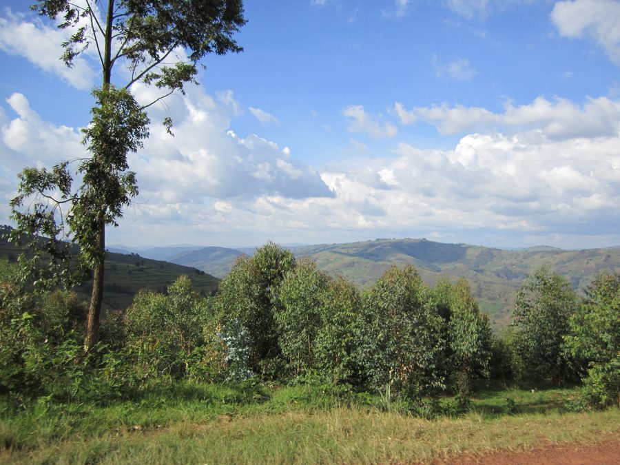 Straße von Kigali nach Musanze in Ruanda